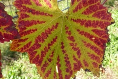 P1050295_web