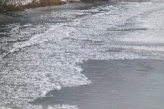 P1010455_web