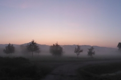 P1050139_web