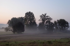P1050151_web