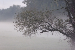 P1050154_web