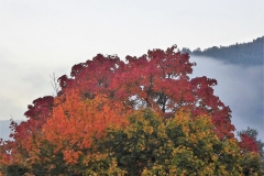 P1050198_web
