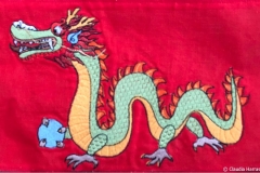 IMG_4941 Drache_web