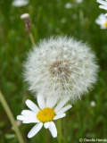 P1060165_web