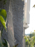 02 P1060641_web