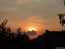 08 P1060664_web