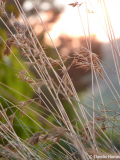 04 P1060673_web