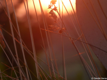 05 P1060679_web