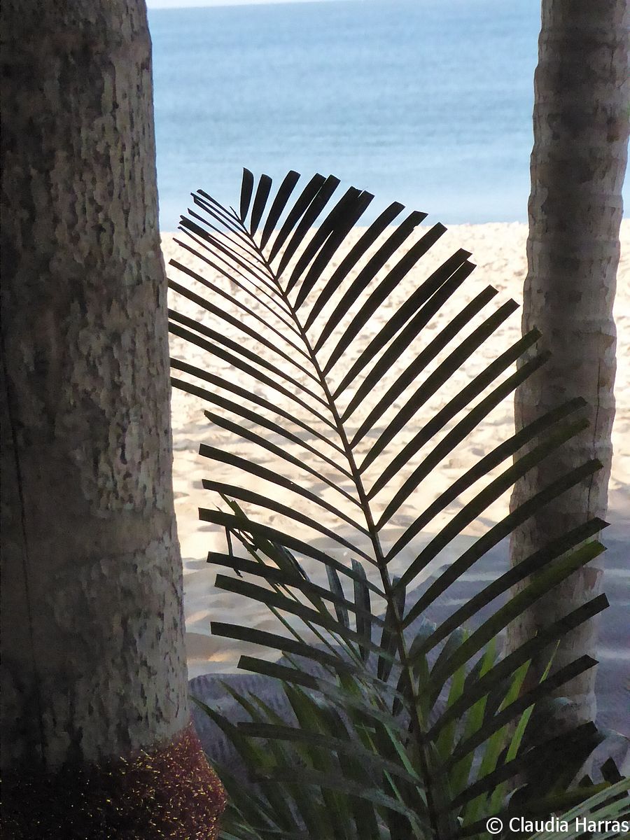 P1110234_web