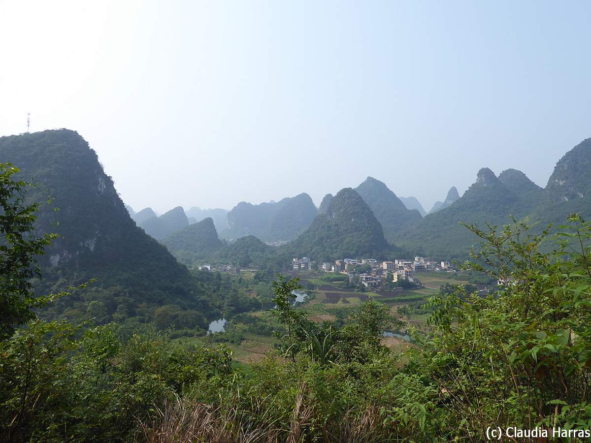 P1130458_web