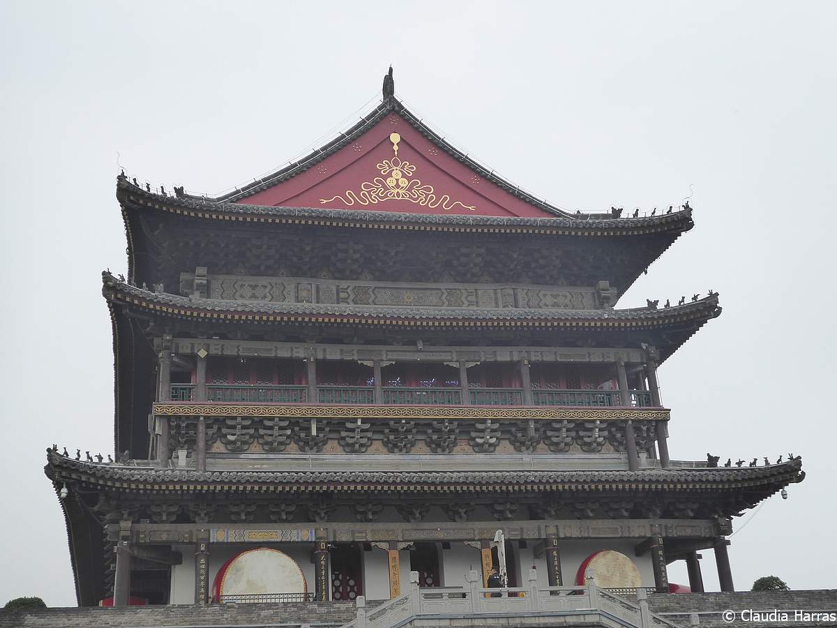 P1140246_web