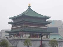 P1140237_web