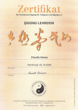 03 2020-10-02-Qigong-Lehrer-BVTQ
