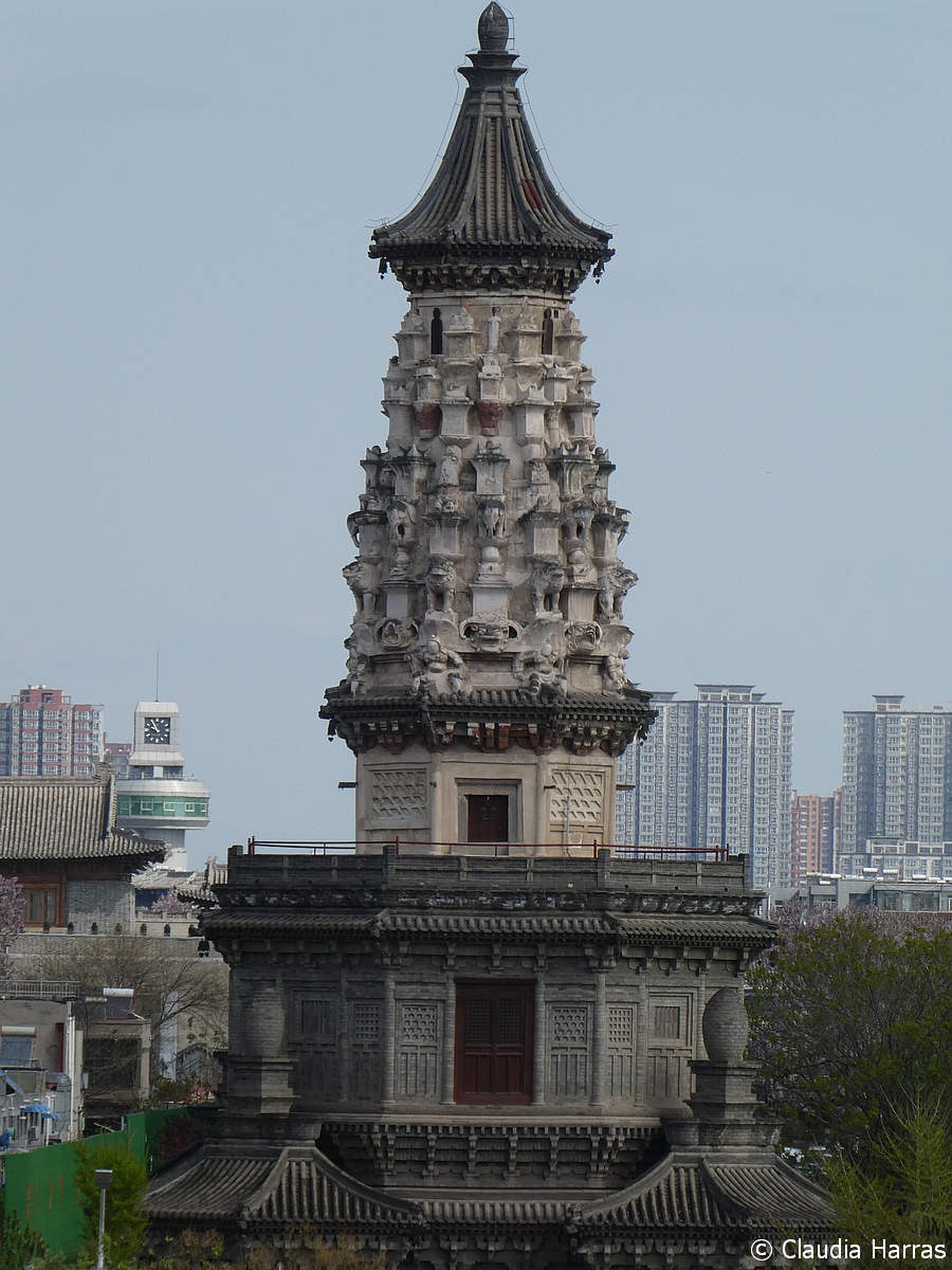 P1060082_web