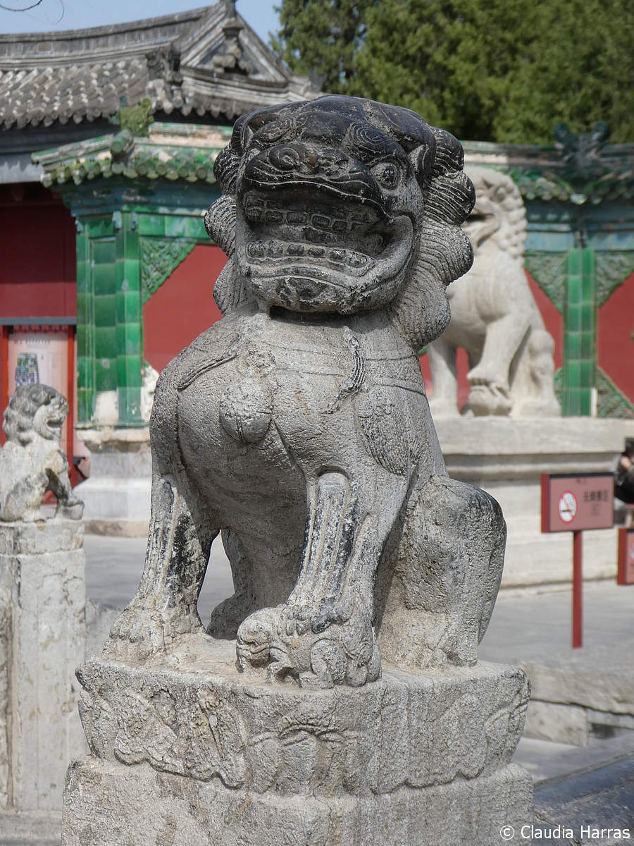P1060108_web