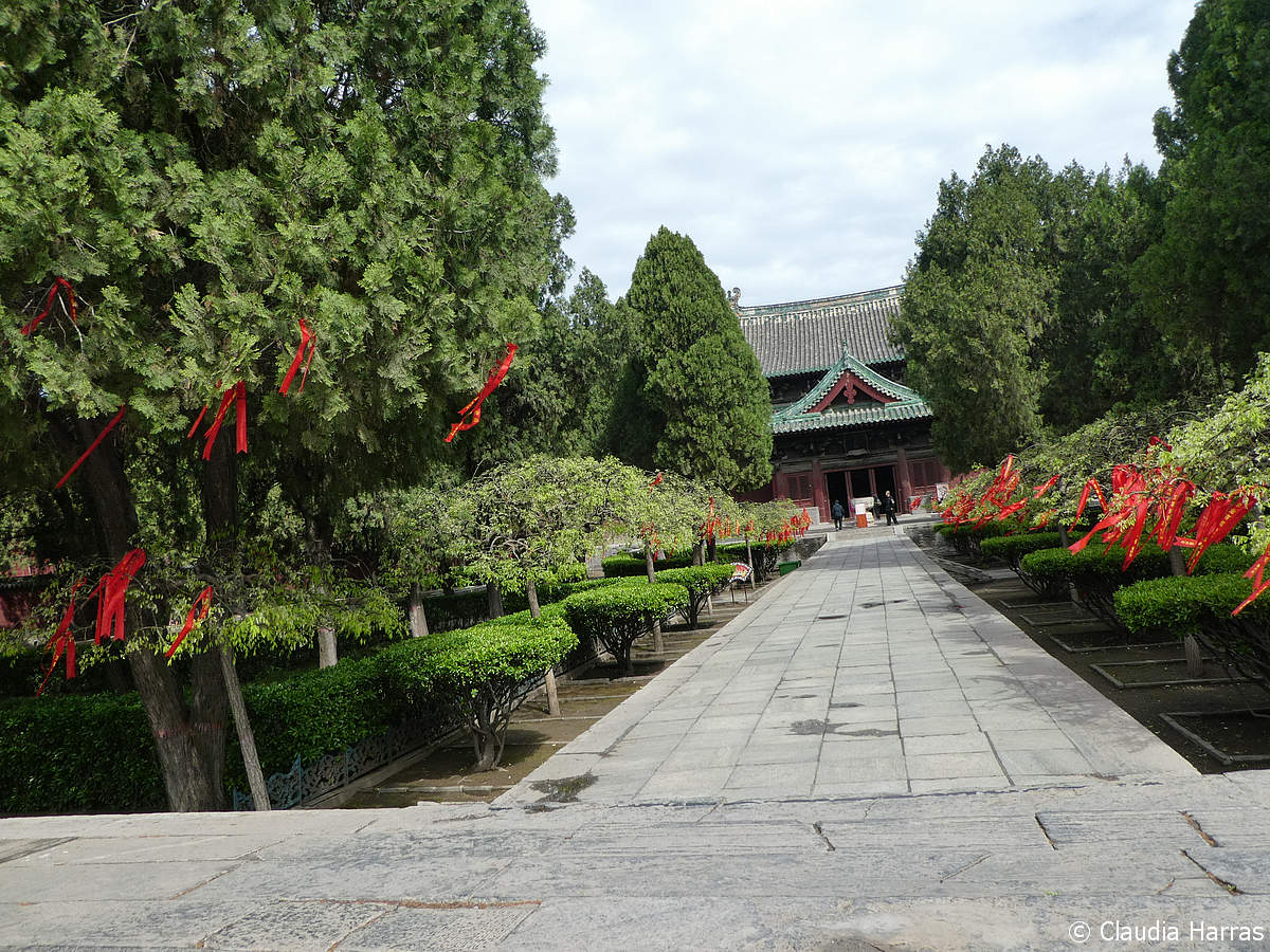 P1060122_web