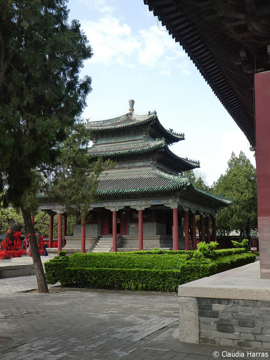 P1060140_web