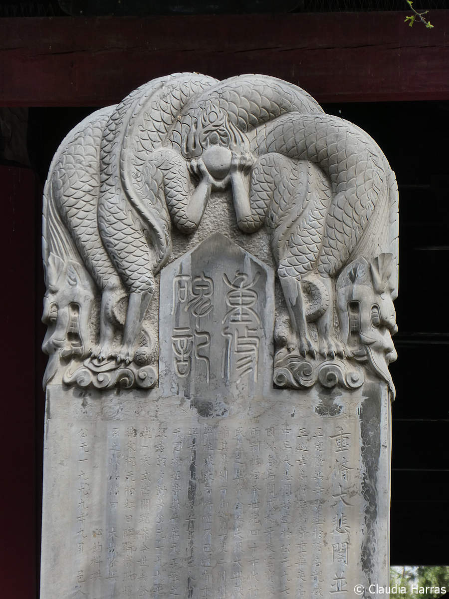 P1060150_web