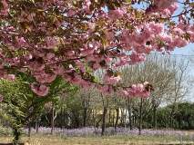 IMG_1449_web