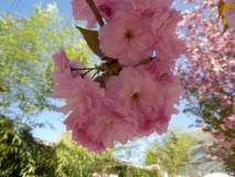 P1060173_web