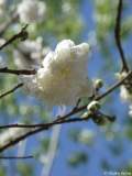 P1060213_web
