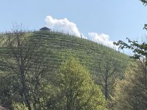 06 IMG_4527_web