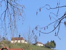 05 IMG_4530_web