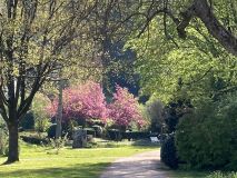 08 IMG_4667_web