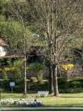 03 IMG_4669_web